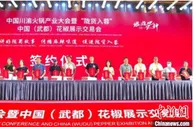 “千年椒乡”甘肃武都南下觅市场 山区“墙里花”飘香川渝