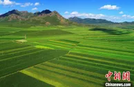内蒙古巴林左旗：小小笤帚苗 “扫”出脱贫致富新气象