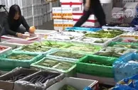 “菜篮子”保供稳价 | 上海：各地蔬菜大批进沪 市场批发价略有回落