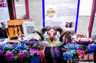 上海将创新创业教育贯穿人才培养全过程 大学生“汇创青春”展风采