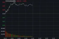创指半日涨超1% 锂电池概念股掀涨停潮