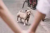 今日趣图：好好的情人节你跟我玩狂飙？