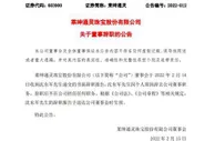 莱绅通灵内斗落幕？创始人沈东军辞去公司董事职务