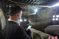 贵州贵阳：山区县城的数字乡村发展之路