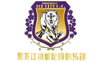 官方：唐诗、罗马里奥、维迪奇等22名球员加盟黑龙江冰城