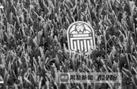 广州城的最后24小时