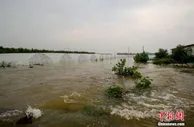 农业农村部：河南洪涝对粮食生产供给全局影响较为有限
