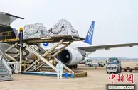 （上海战疫录）上海浦东机场航空货运业务基本恢复常态水平
