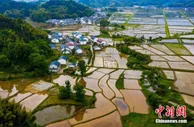 银保监会：扩大三大主粮作物完全成本和收入保险试点范围