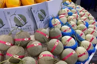 “新奇特”产品技术助力海南冬交会 民众逛展直呼“长见识”