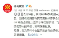 海南航空回应“客舱仓鼠乱窜”：旅客私自带上机