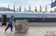 甘肃天水樱桃“坐”高铁一路领“鲜”