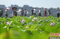 杭州市文旅数字化改革：一键找酒店找导游借图书