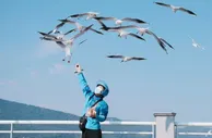 饿了么高德飞猪首次以矩阵形态进入阿里财报：板块年度活跃消费者3.72亿