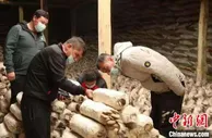 新疆库车发展一村一品  助力乡村振兴