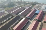 我国秋粮收购进入高峰 各地优化服务确保颗粒归仓