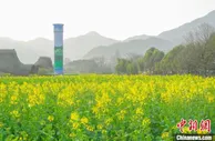 浙江余村入选首届联合国世界旅游组织最佳旅游乡村