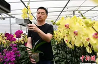（台海观澜）福建漳州持续推动两岸农业融合发展