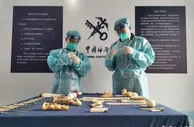 北京海关连续查获7批共54件象牙制品