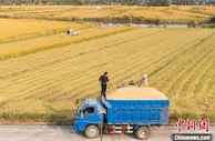 2021年中国粮食产量再创新高