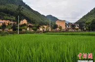 亚洲4国专家浙江丽水学术研讨：互鉴经验促乡村振兴