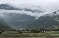 云南维西：护生态留“国宝” 旅游业渐热
