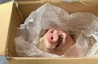 桑普老板遭遇死亡威胁，极端球迷送猪头：下一次就是你的头