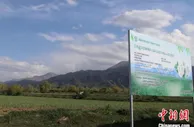 新疆吉木萨尔县：规模化种植打响增收“蒜”盘