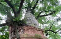 云南景谷：“国际康养目的地”破题旅游发展困局