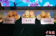 桃乡无锡阳山选“桃王”：看“颜值”更重“内涵”