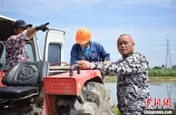 “80后”“新农民”的种田梦：数字赋能徜徉金黄之上