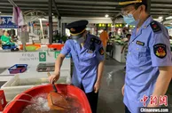 “长江禁捕打非断链”取得阶段性成效 沪市场监管部门检查市场主体18.5万个次