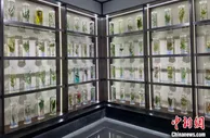 浙江丽水如何走向现代化？点绿成金起笔高质量发展