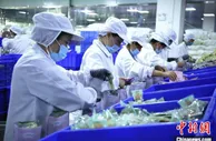 院士专家齐聚广西为柳州螺蛳粉产业高质量发展支招
