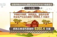 前五个月农产品销售额达9918.5亿元 同比增长27.7%