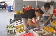 浙江海岛小村话共富：产业立村口 就业在村里
