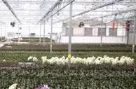 假期消费市场观察 | 双节至年味浓 线上线下消费热度攀升