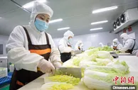 “鲜切果蔬”24小时上餐桌 河北固安冷链食品俏销京津
