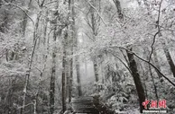 2020年全国旅游及相关产业增加值占GDP比重为4.01%