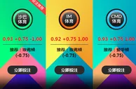 富勒姆 VS 埃弗顿 4月13日 22:00 英超 ：老伟德沙巴体育