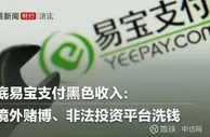 999资讯：起底易宝支付黑色收入：为境外赌博、非法投资平台洗钱