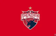 又一支球队告别！未能通过准入 深圳队宣布解散