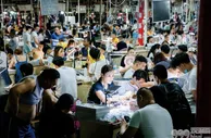 中越边境惊现"赌石"骗局，跨境直播诈骗团伙被捣毁