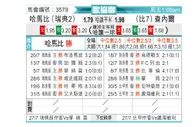 [欧会杯] 哈马比vs沙勒罗瓦