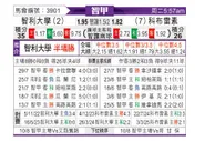 [智利甲] 智利大学vs科布雷索
