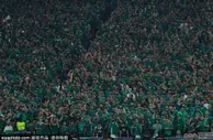 重赏！沙特成功晋级2026世界杯 每位球员获114万欧奖金