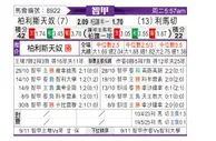 [智甲] 帕莱斯蒂诺vs利马切颜色