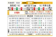 [德甲] 海登海姆vs勒沃库森