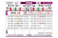 [南自杯] 科金博vs托利马体育