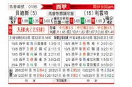[西甲] 皇家贝蒂斯vs莱万特